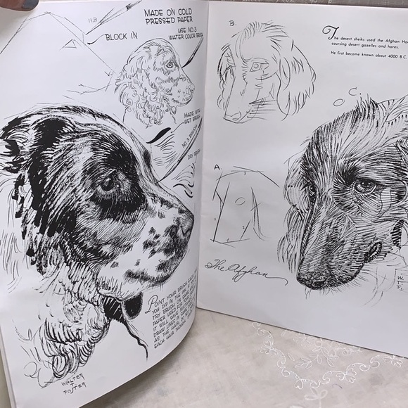 How to Draw & Paint Dogs 13" paperback book by Walter Foster 1989 - Picture 10 of 11